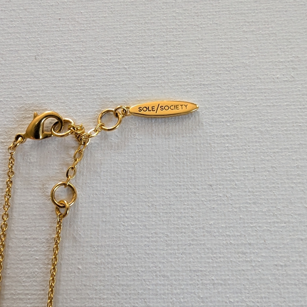 Sole Society Necklace - Picture 6 of 9
